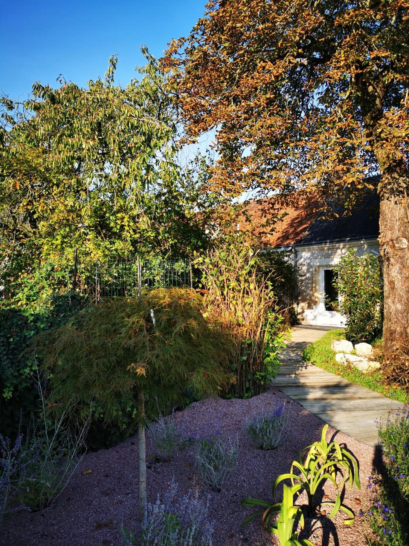 La Jacquiere Bed & Breakfast โชมง-ซูร์-ลัวร์ ภายนอก รูปภาพ